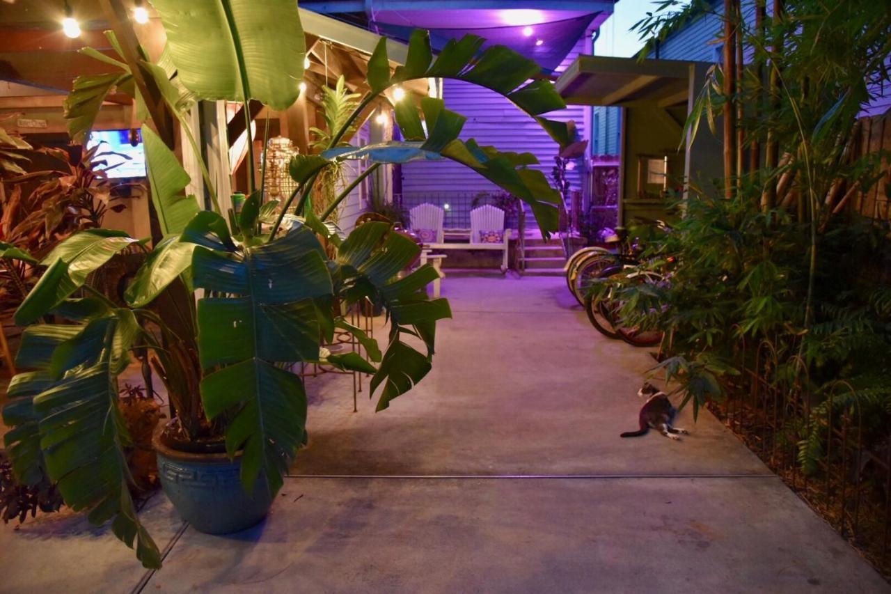 The Dragonfly Treme Guest House Nowy Orlean Zewnętrze zdjęcie
