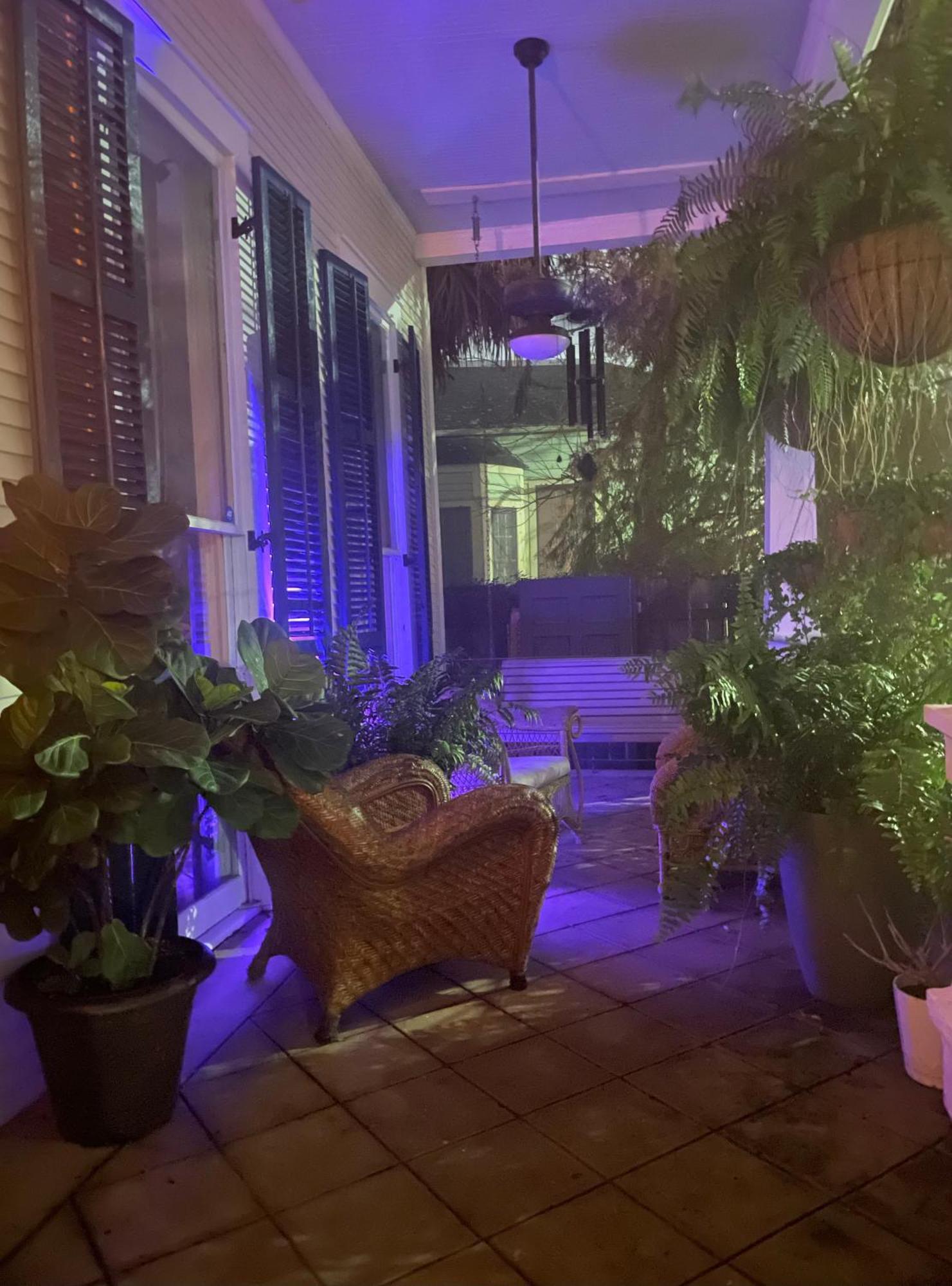 The Dragonfly Treme Guest House Nowy Orlean Zewnętrze zdjęcie